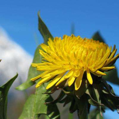 泰国与伊朗外交协调后 泰国油轮安全通过霍尔木兹海峡